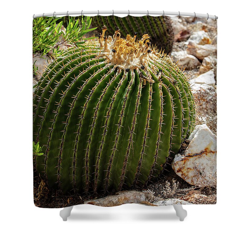 Cacti Closeup - Shower Curtain