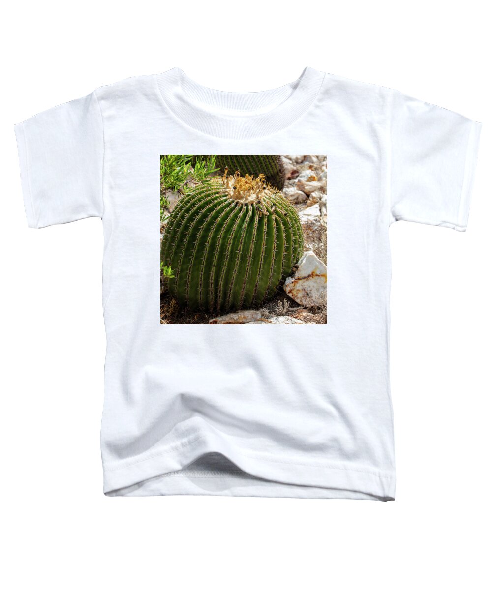 Cacti Closeup - Toddler T-Shirt