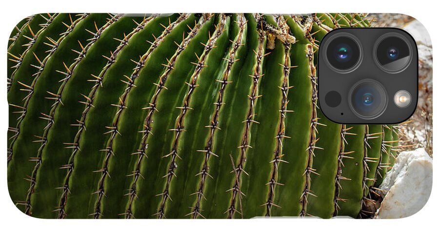 Cacti Closeup - Phone Case