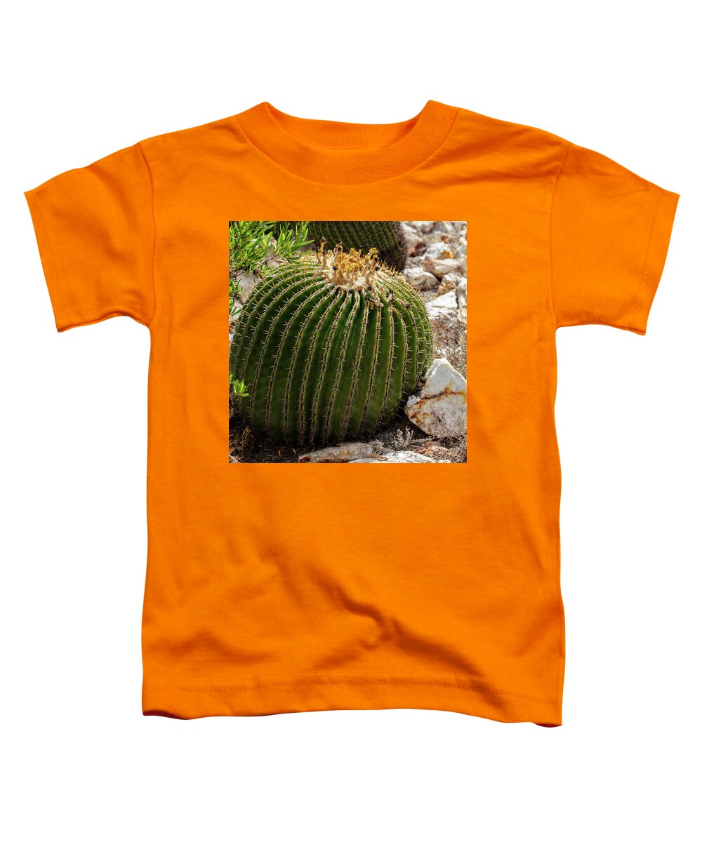 Cacti Closeup - Toddler T-Shirt