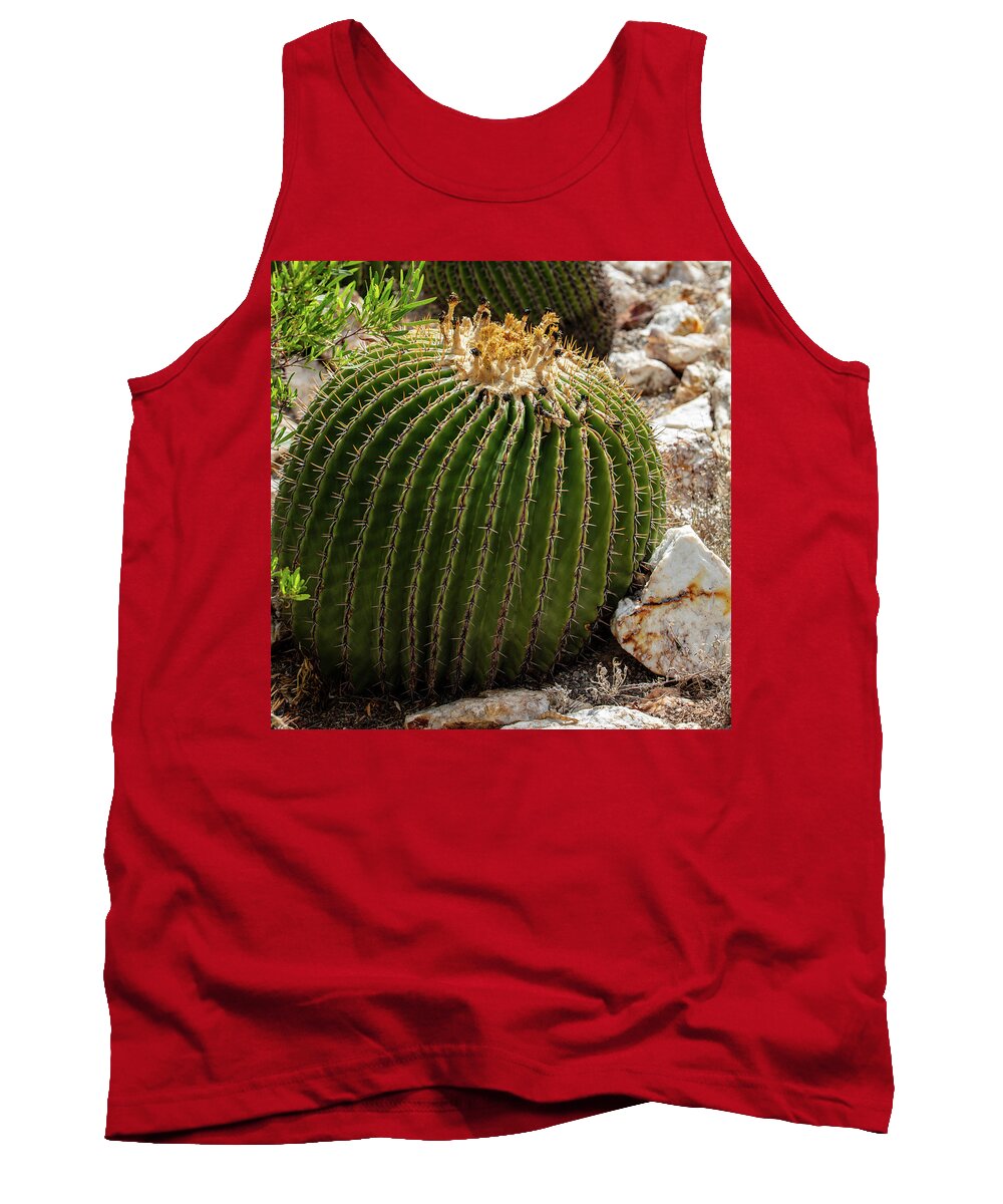 Cacti Closeup - Tank Top
