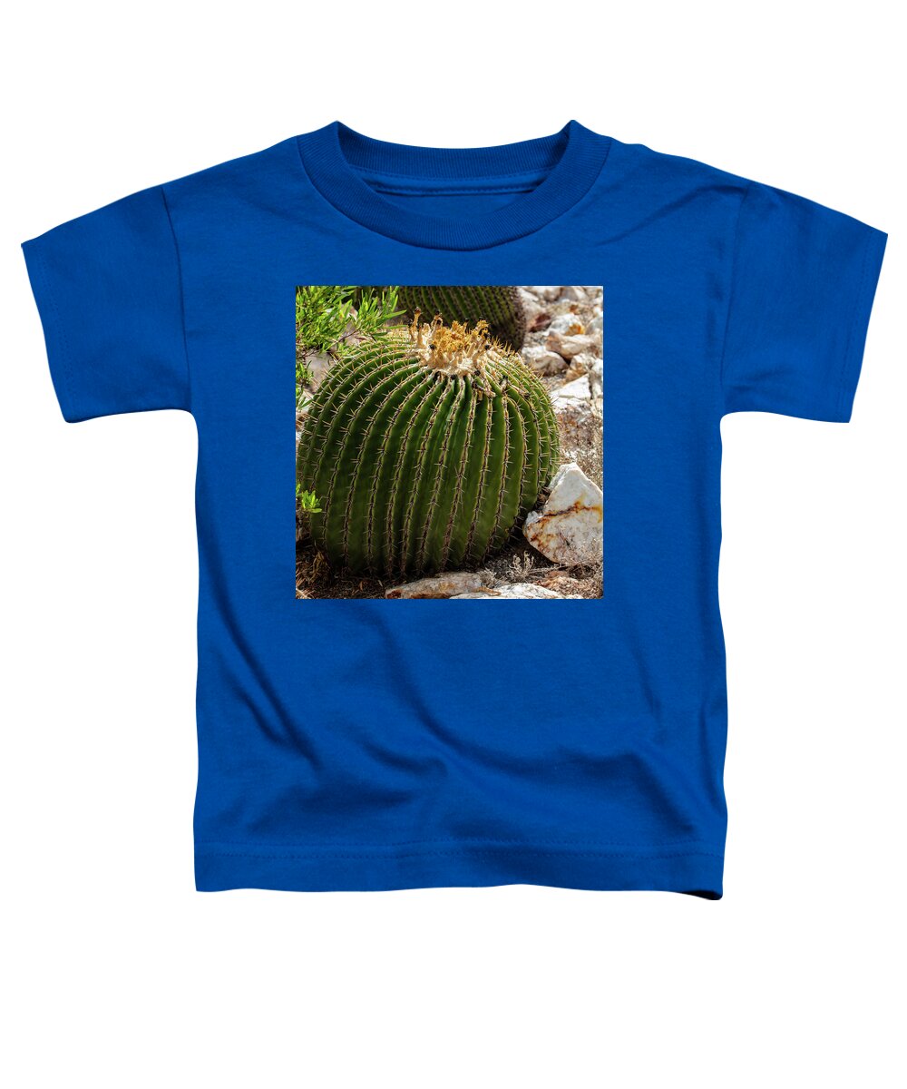 Cacti Closeup - Toddler T-Shirt