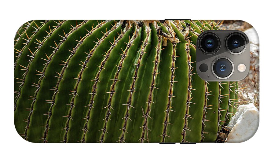 Cacti Closeup - Phone Case