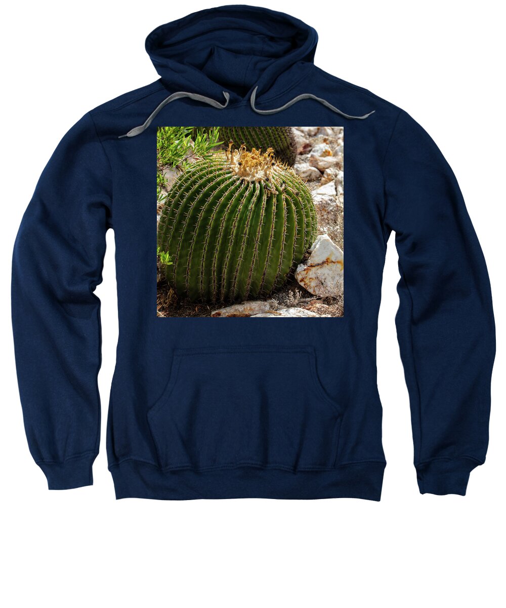 Cacti Closeup - Sweatshirt
