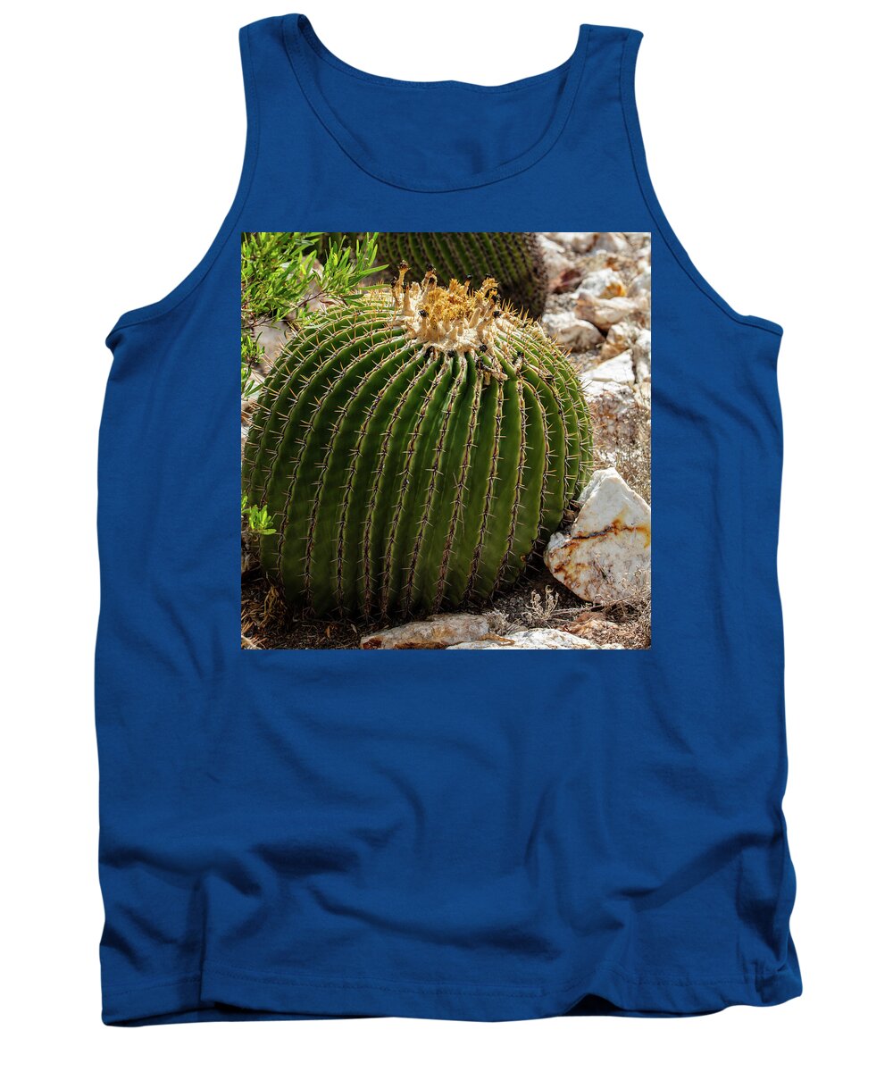 Cacti Closeup - Tank Top