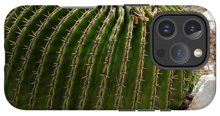 Cacti Closeup - Phone Case