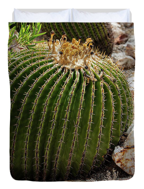 Cacti Closeup - Duvet Cover