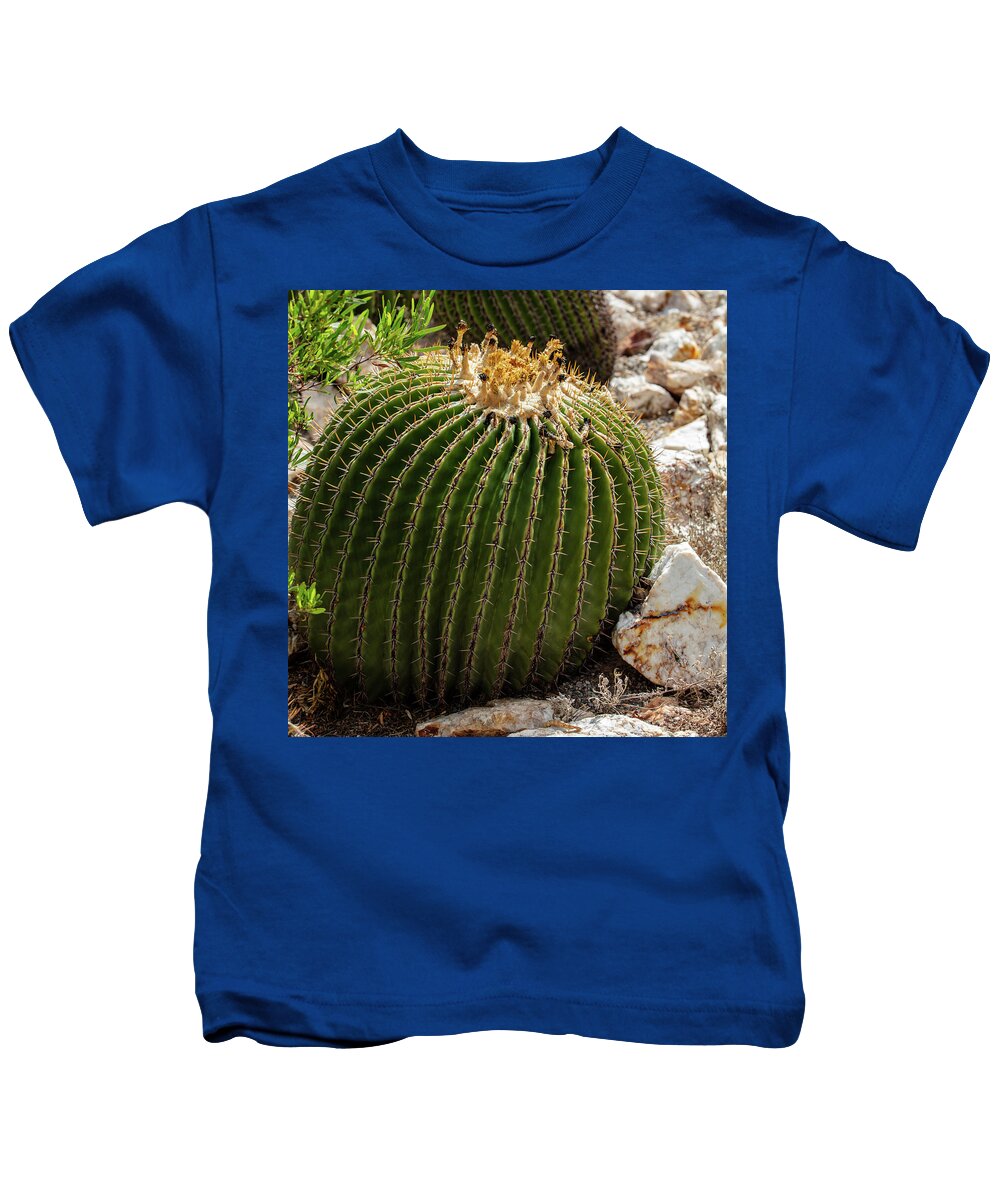 Cacti Closeup - Kids T-Shirt