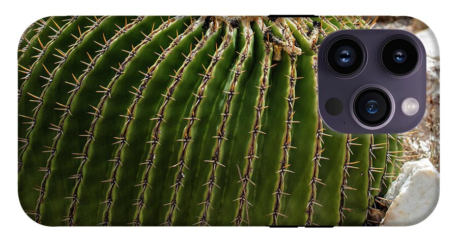 Cacti Closeup - Phone Case