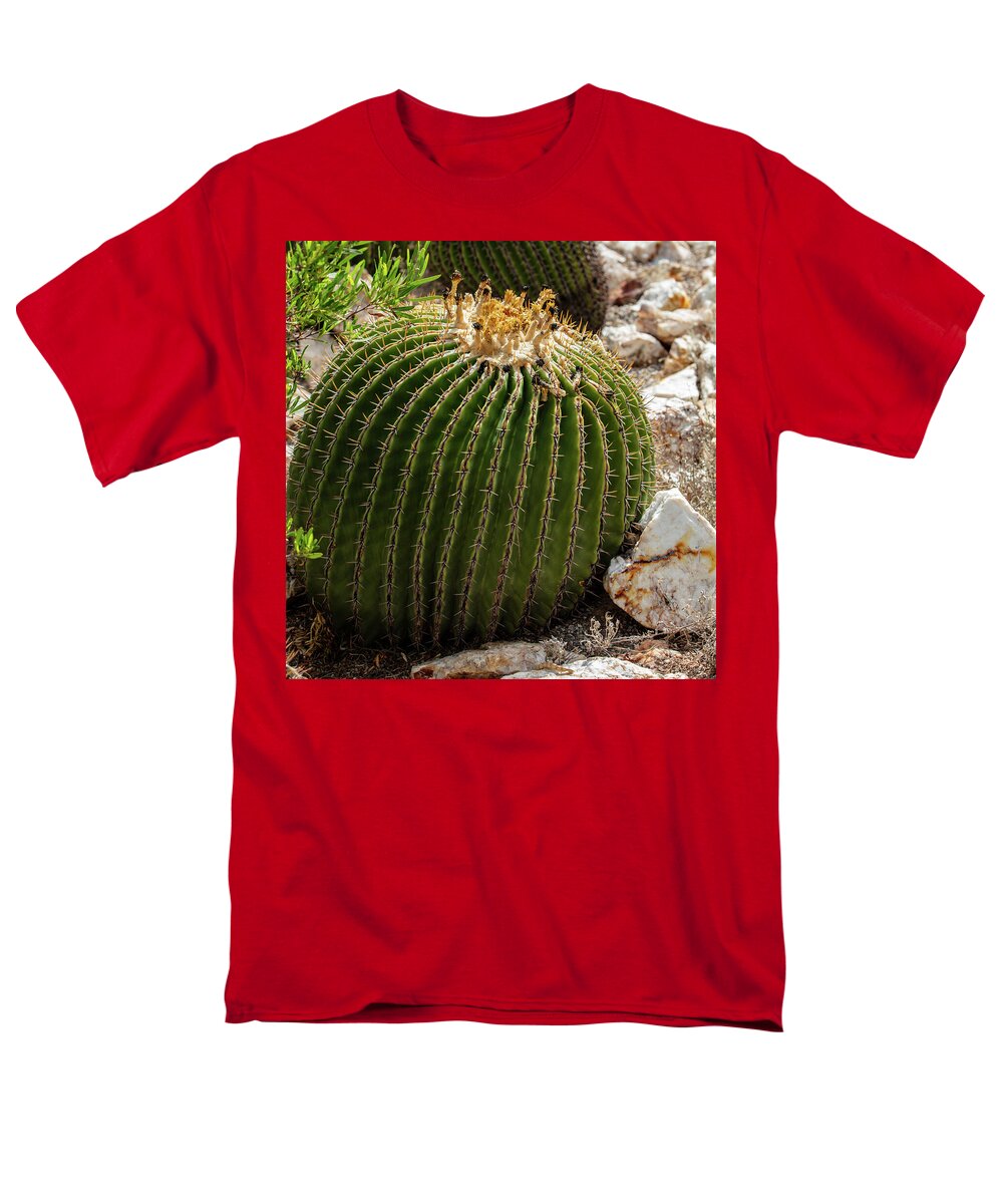 Cacti Closeup - Men's T-Shirt  (Regular Fit)