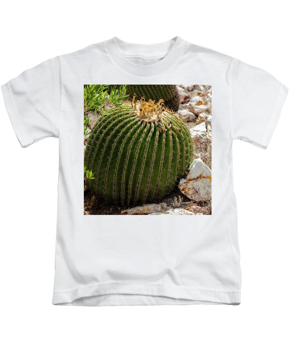 Cacti Closeup - Kids T-Shirt