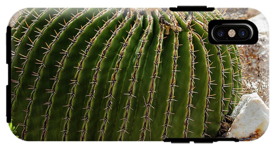 Cacti Closeup - Phone Case