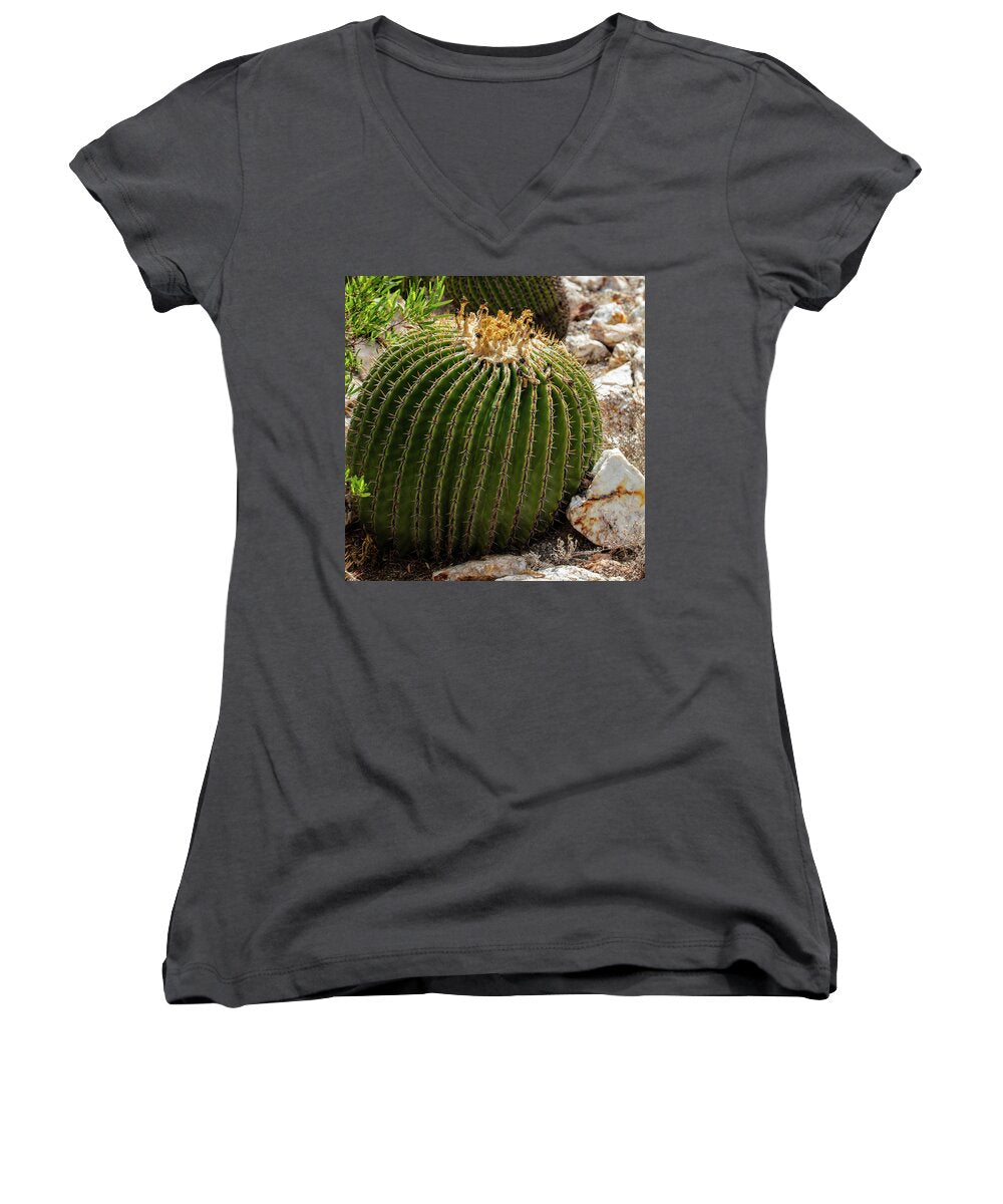 Cacti Closeup - Women's V-Neck