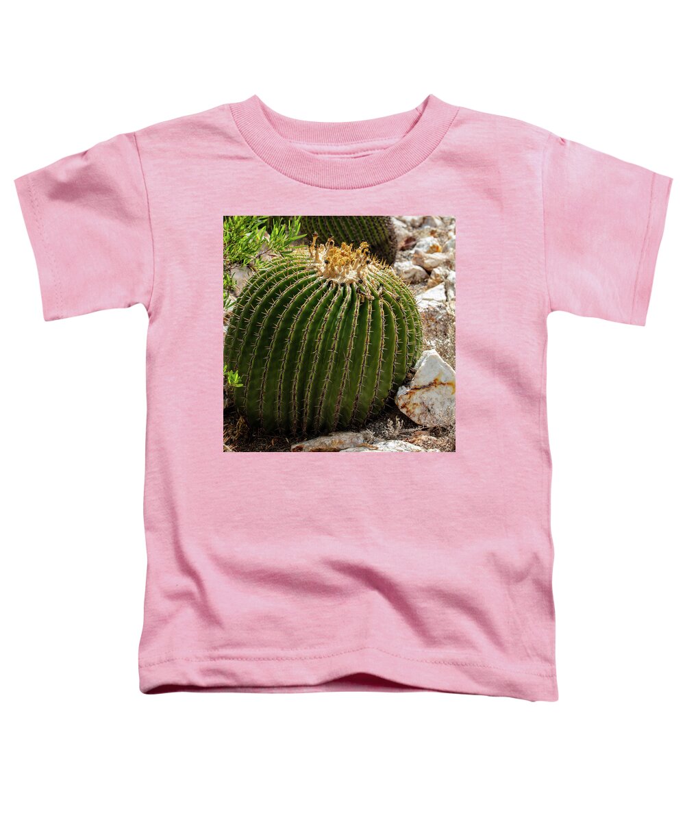Cacti Closeup - Toddler T-Shirt