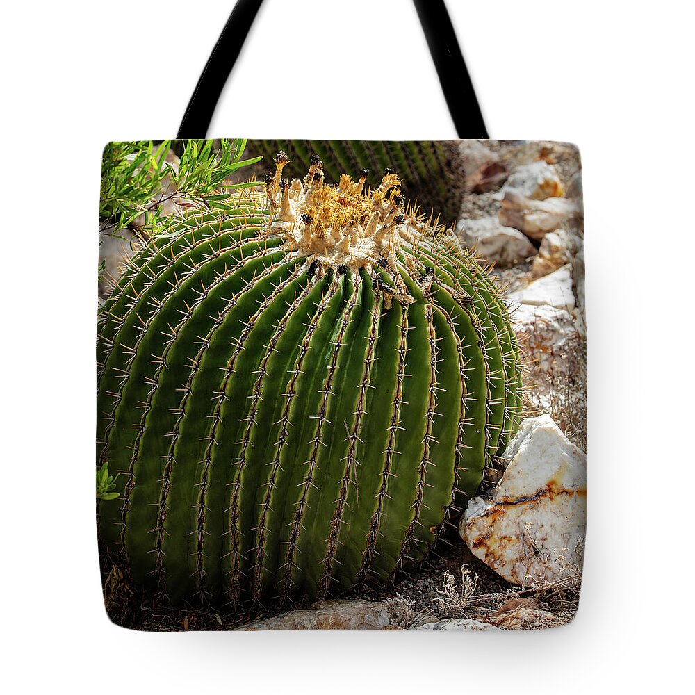 Cacti Closeup - Tote Bag