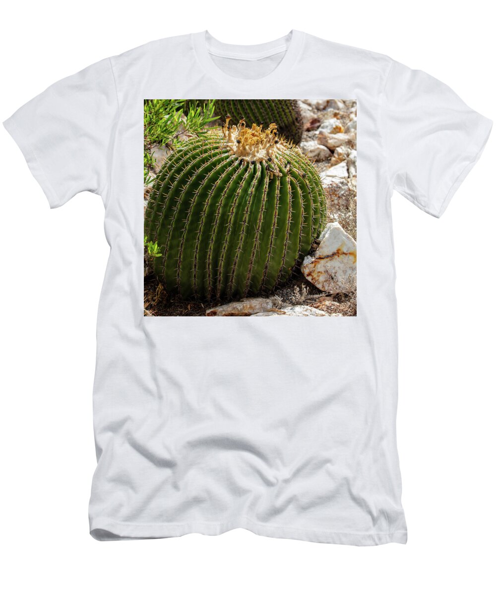 Cacti Closeup - T-Shirt