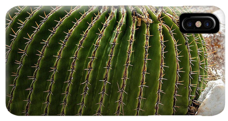 Cacti Closeup - Phone Case