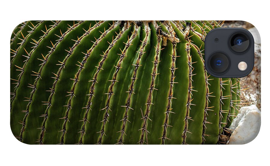 Cacti Closeup - Phone Case