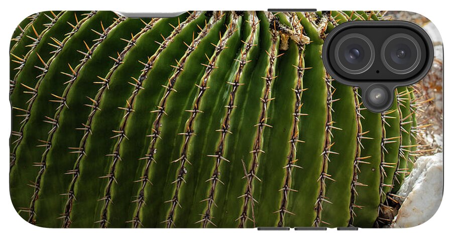 Cacti Closeup - Phone Case