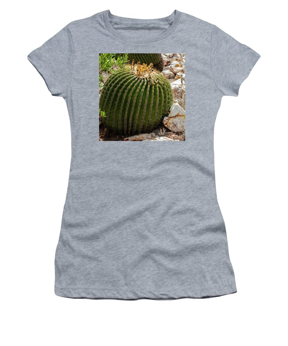 Cacti Closeup - Women's T-Shirt