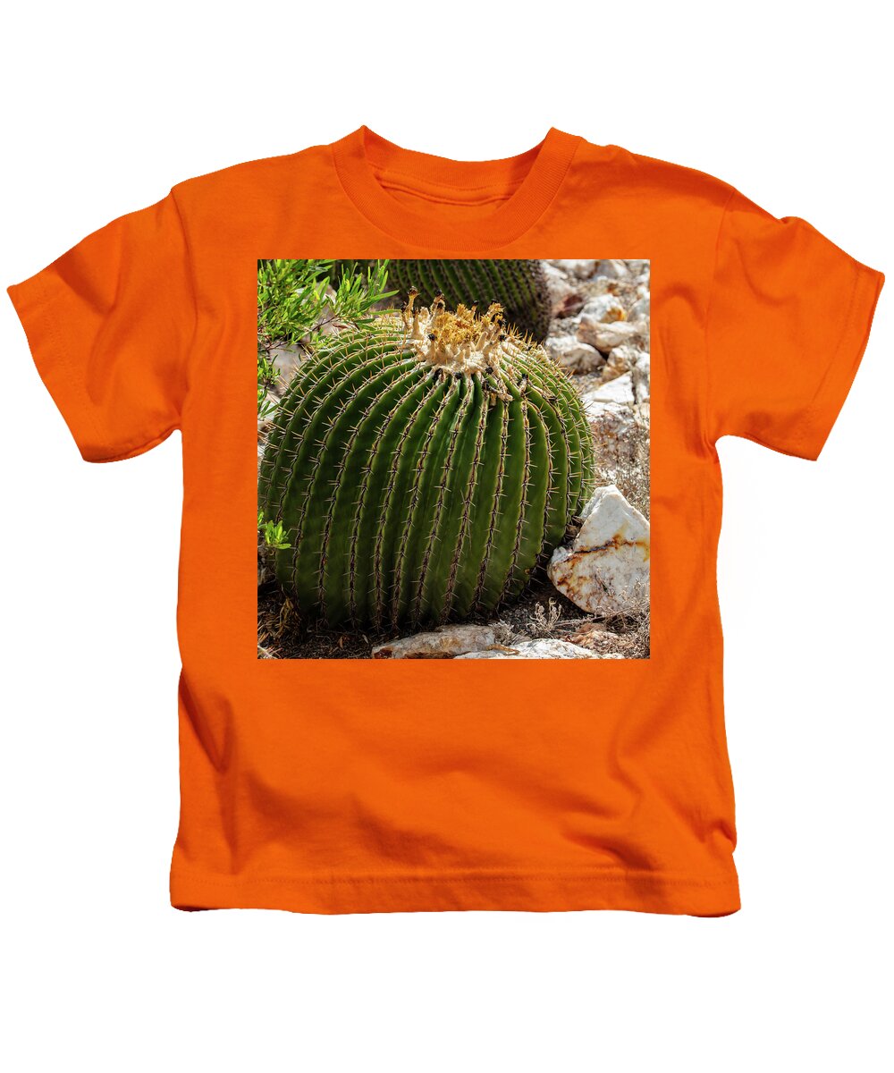 Cacti Closeup - Kids T-Shirt