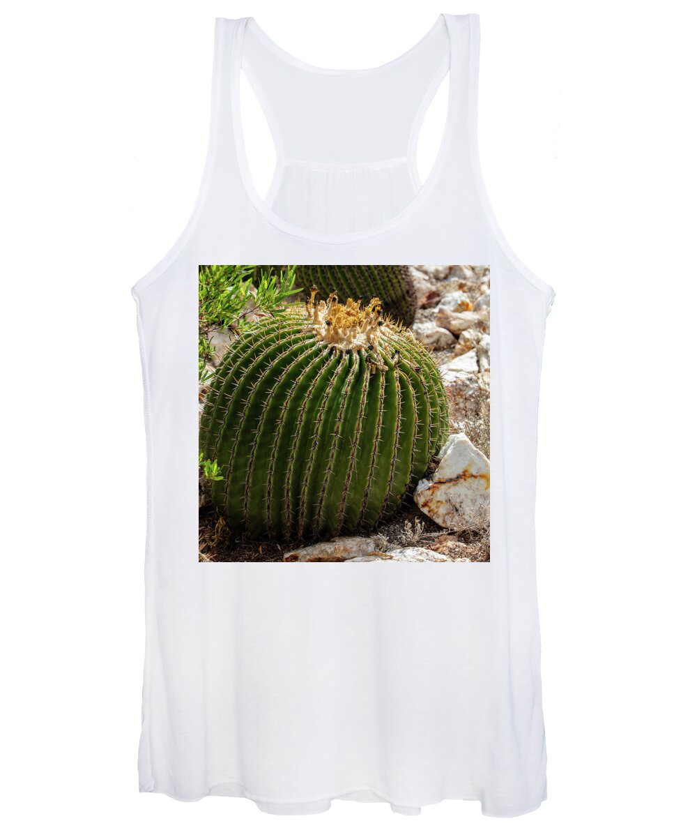 Cacti Closeup - Women's Tank Top