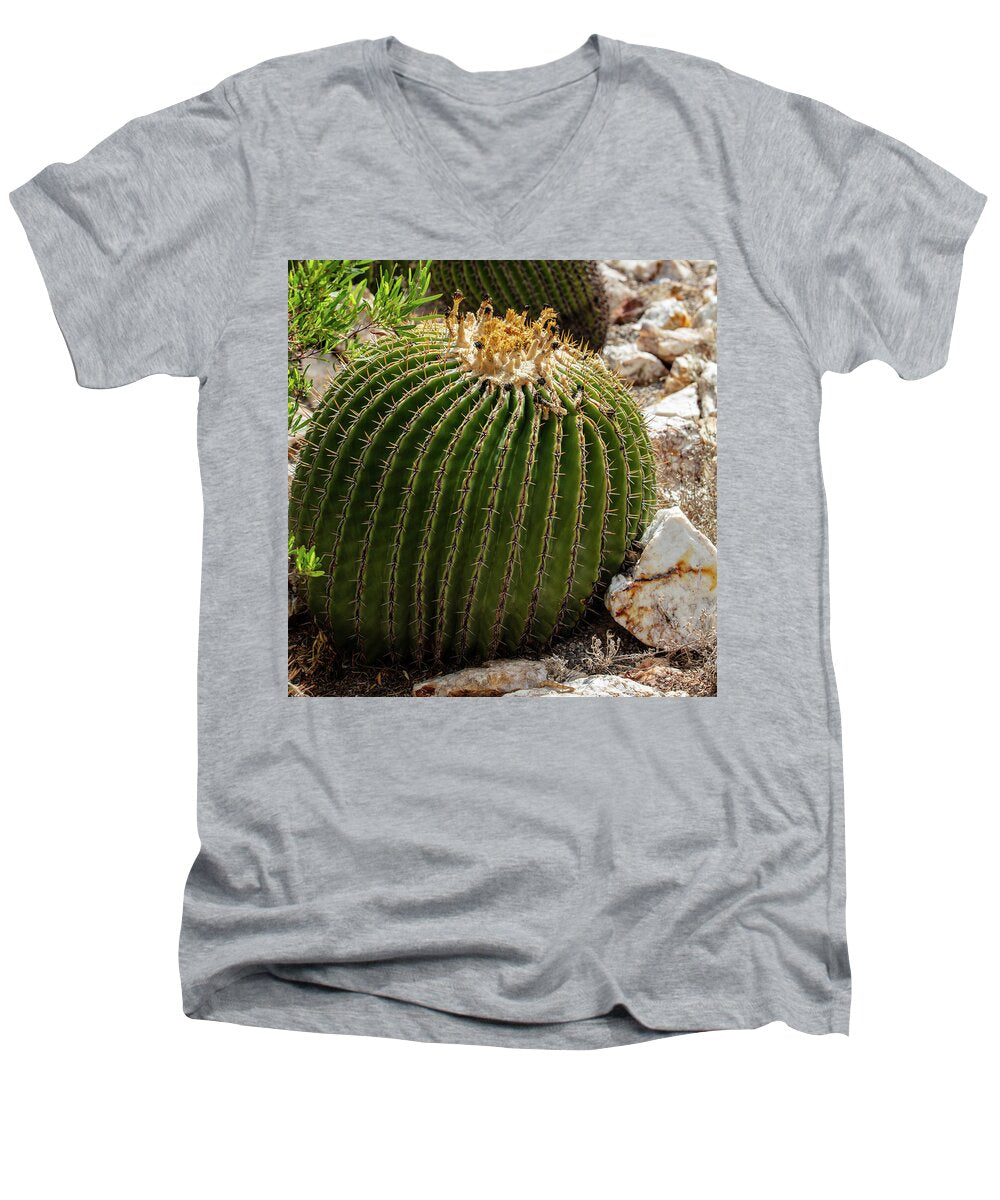 Cacti Closeup - Men's V-Neck T-Shirt