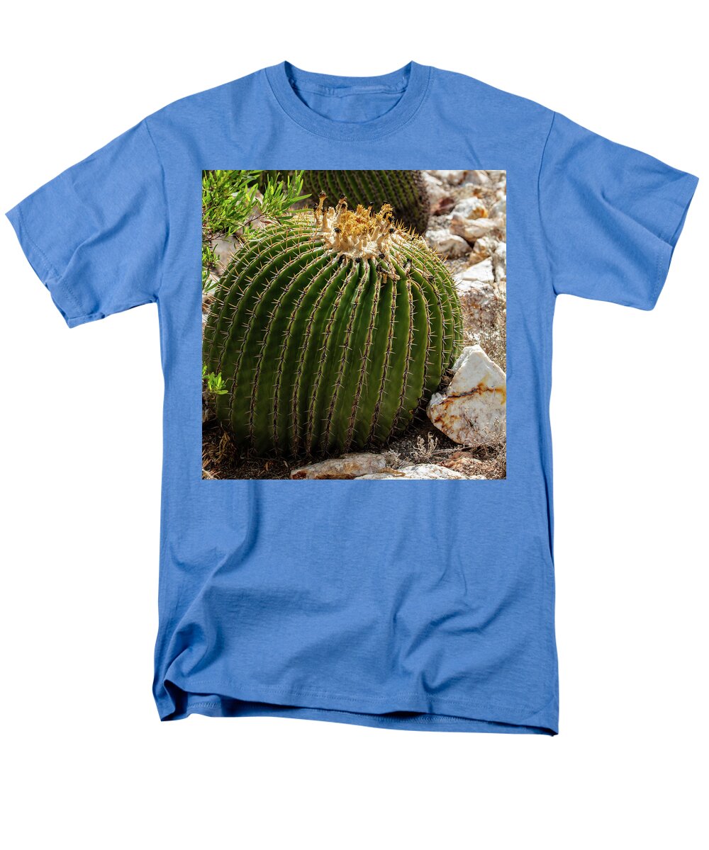 Cacti Closeup - Men's T-Shirt  (Regular Fit)