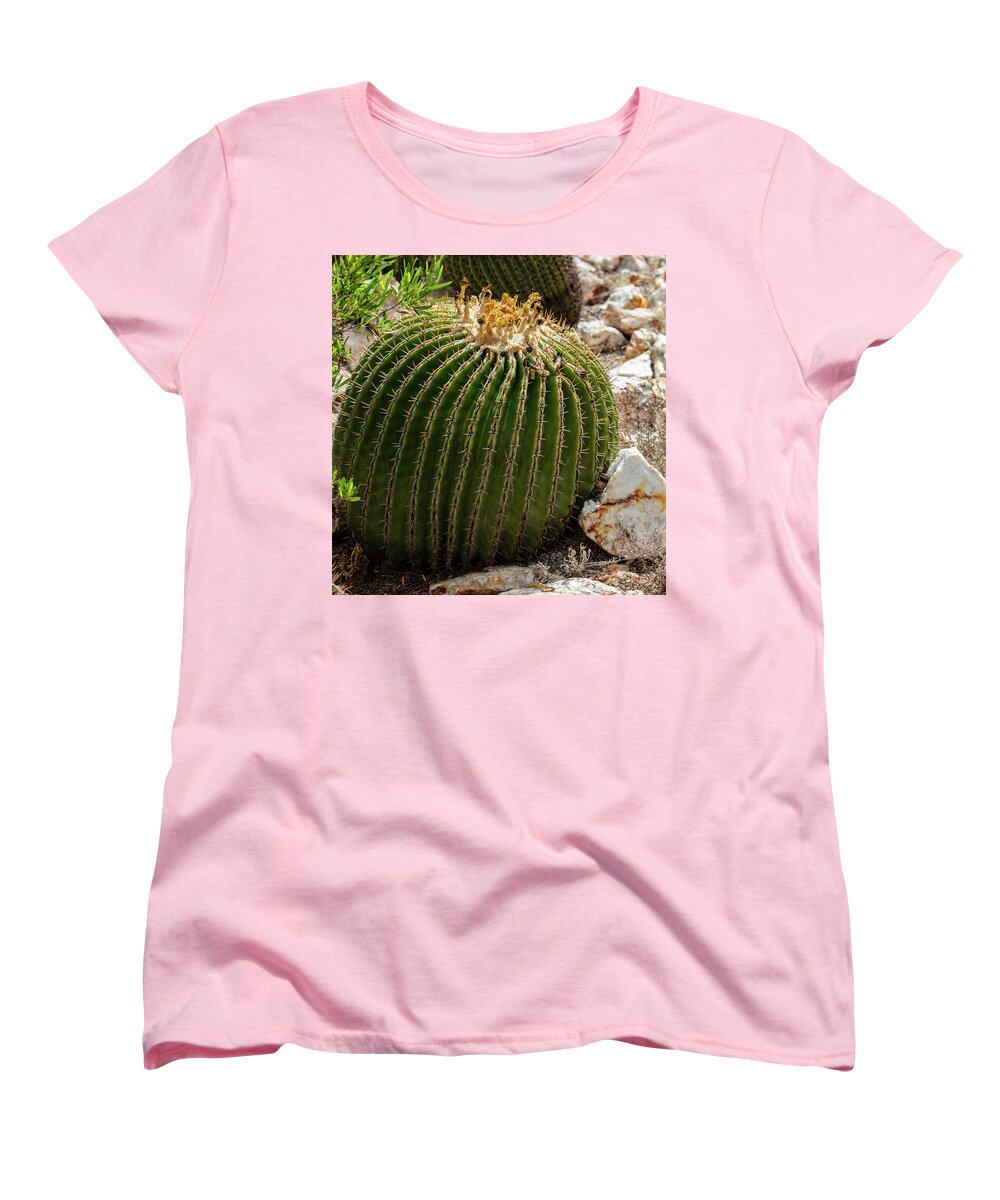 Cacti Closeup - Women's T-Shirt (Standard Fit)