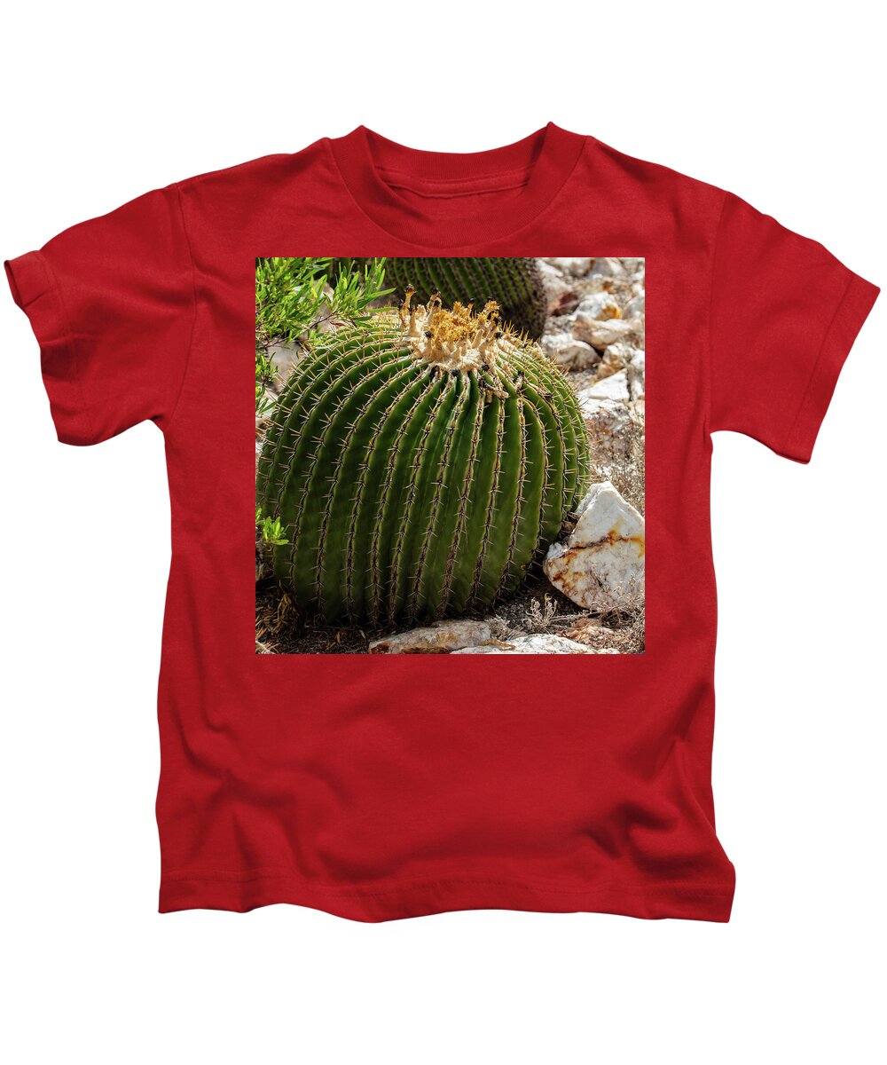 Cacti Closeup - Kids T-Shirt