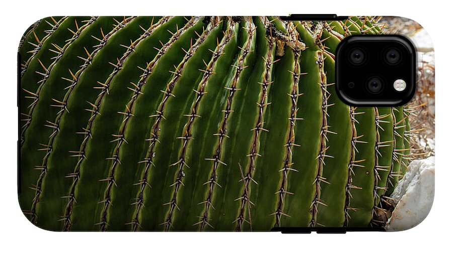 Cacti Closeup - Phone Case