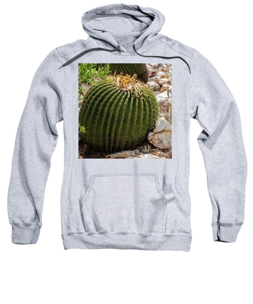 Cacti Closeup - Sweatshirt