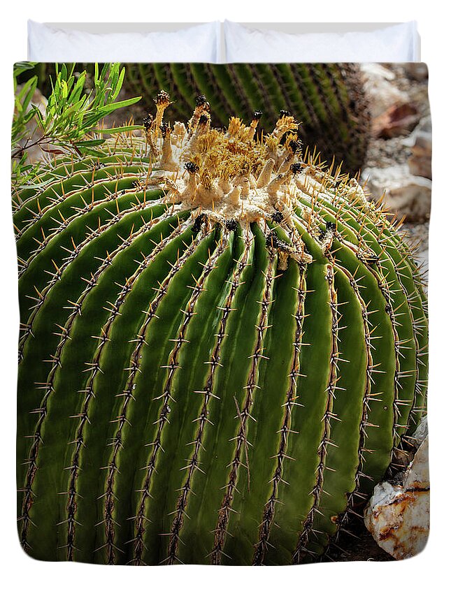 Cacti Closeup - Duvet Cover
