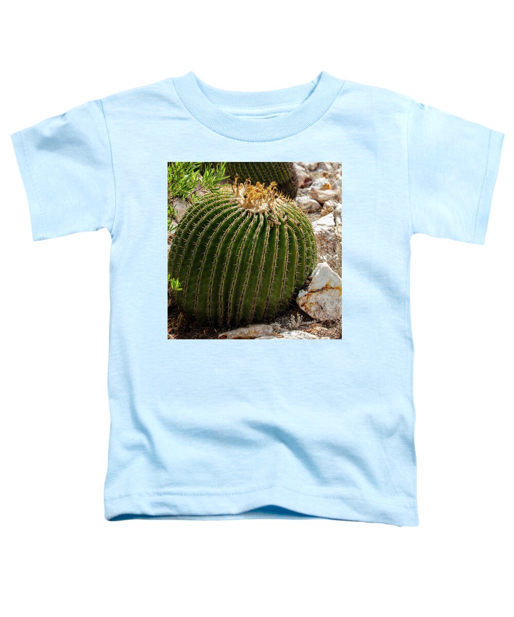 Cacti Closeup - Toddler T-Shirt