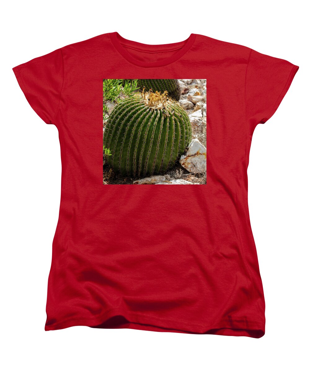 Cacti Closeup - Women's T-Shirt (Standard Fit)