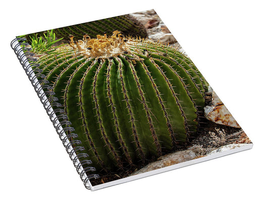 Cacti Closeup - Spiral Notebook