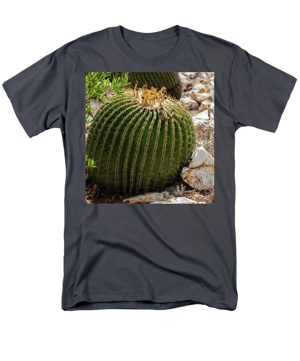 Cacti Closeup - Men's T-Shirt  (Regular Fit)