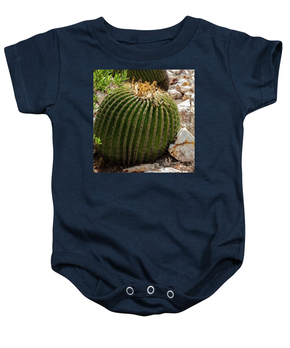 Cacti Closeup - Baby Onesie