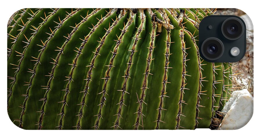Cacti Closeup - Phone Case