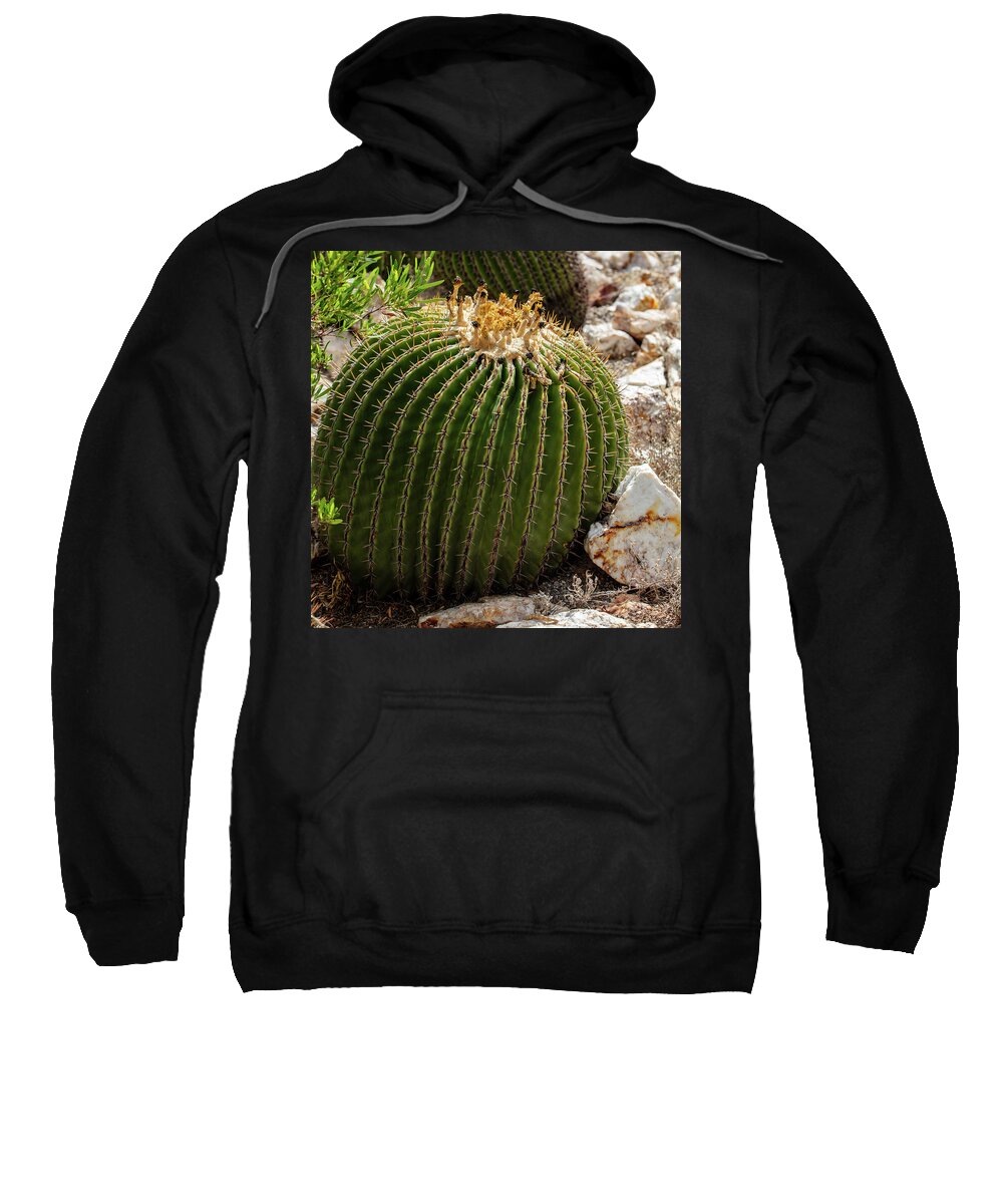 Cacti Closeup - Sweatshirt