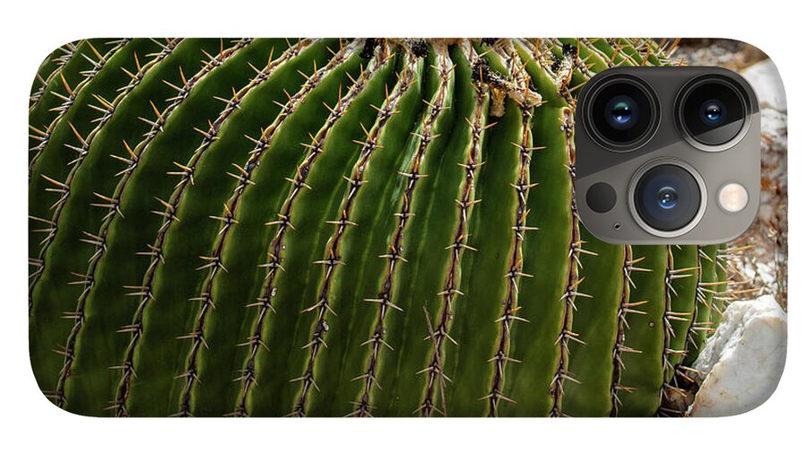 Cacti Closeup - Phone Case