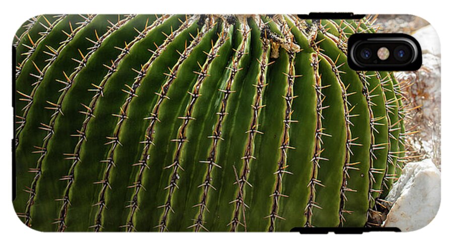 Cacti Closeup - Phone Case
