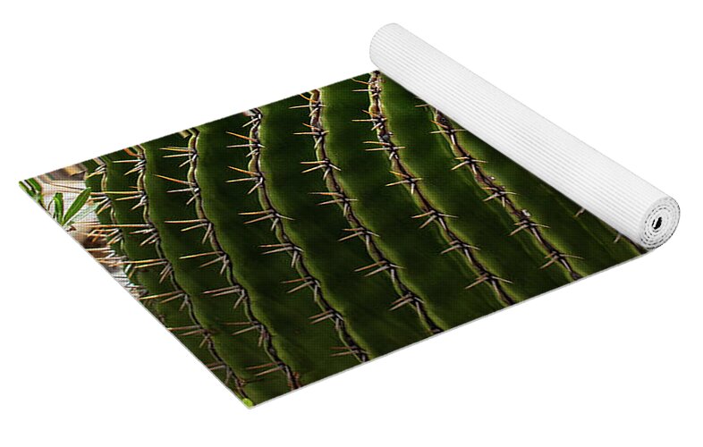 Cacti Closeup - Yoga Mat