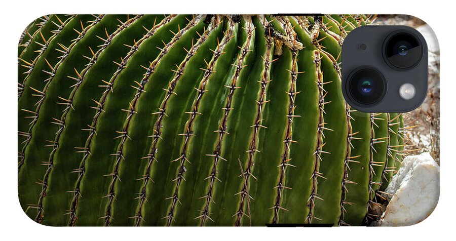 Cacti Closeup - Phone Case