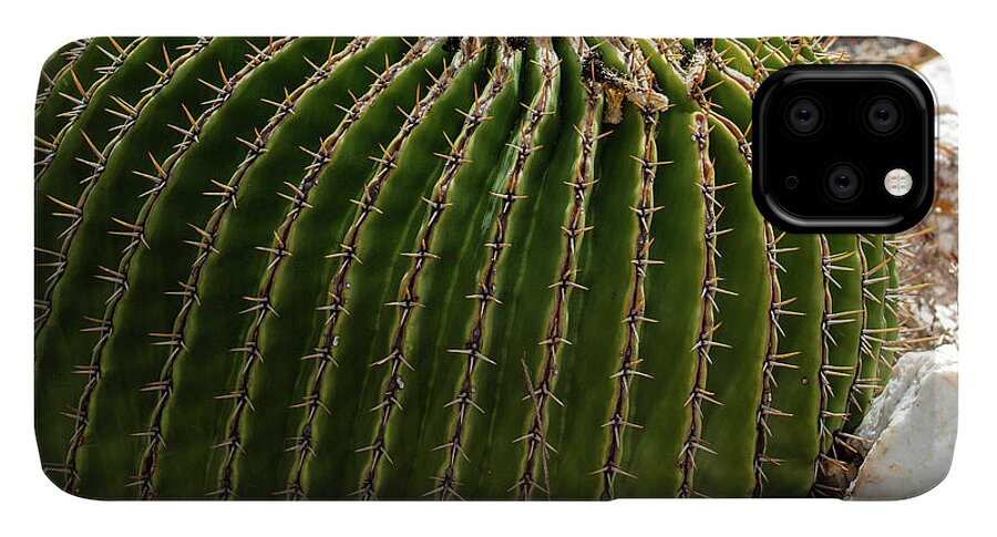 Cacti Closeup - Phone Case