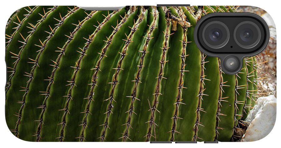 Cacti Closeup - Phone Case