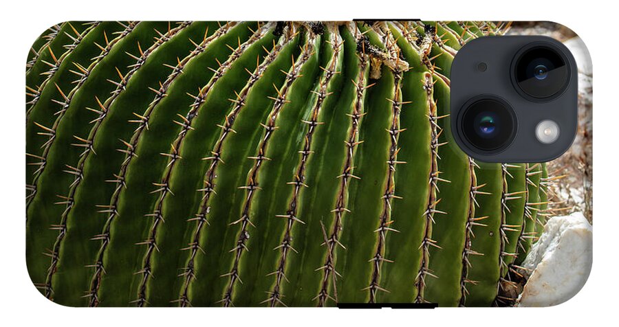 Cacti Closeup - Phone Case