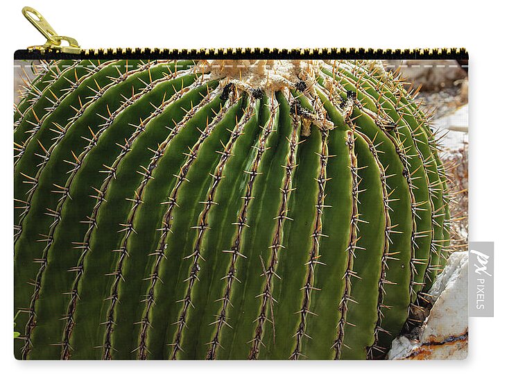Cacti Closeup - Zip Pouch