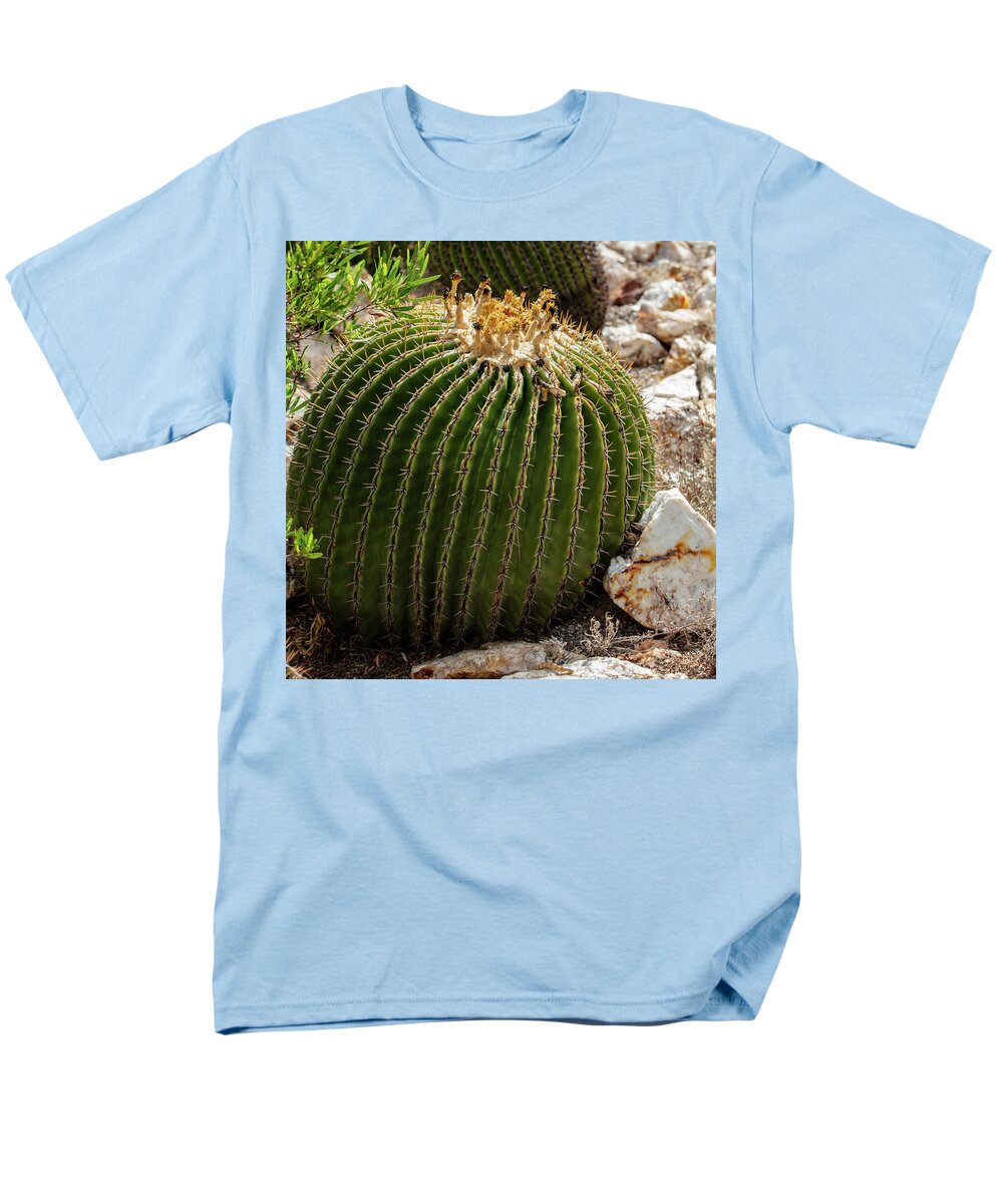 Cacti Closeup - Men's T-Shirt  (Regular Fit)