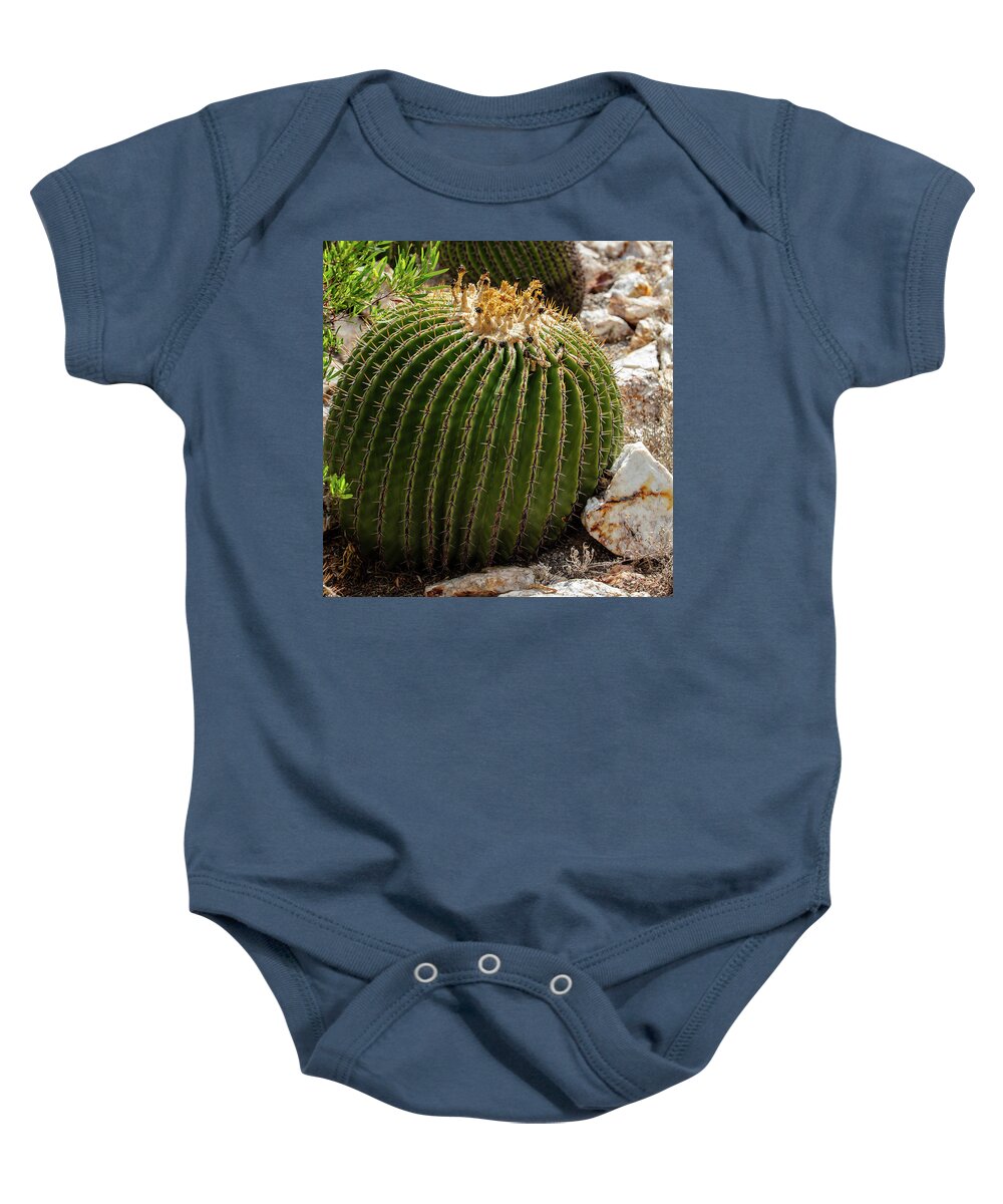 Cacti Closeup - Baby Onesie
